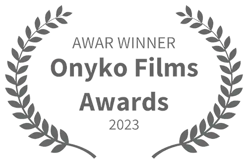 Best social video project award at international festival